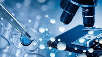 生物類似藥研發中的技術轉讓 關鍵問題與策略解析